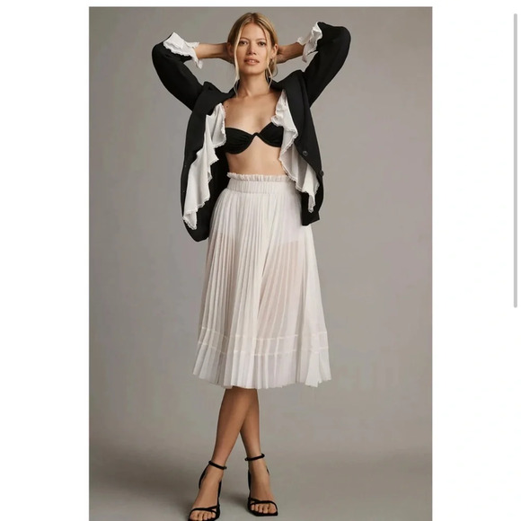 Let Me Be (Anthropologie) Sheer Pleated A-Line Skirt, NWT - Picture 2 of 10